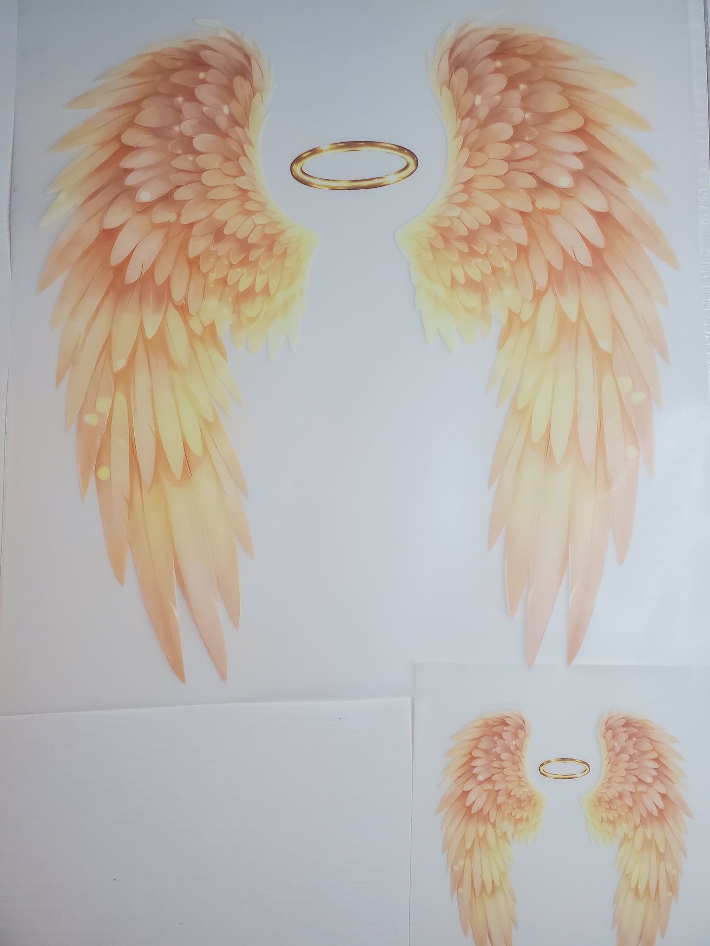 Yellow and Orange Wings